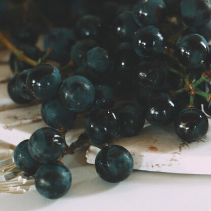 Гідролат чорного винограду Vitis vinifera