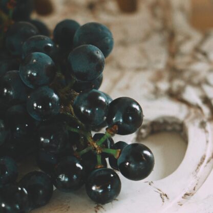 Гідролат чорного винограду Vitis vinifera